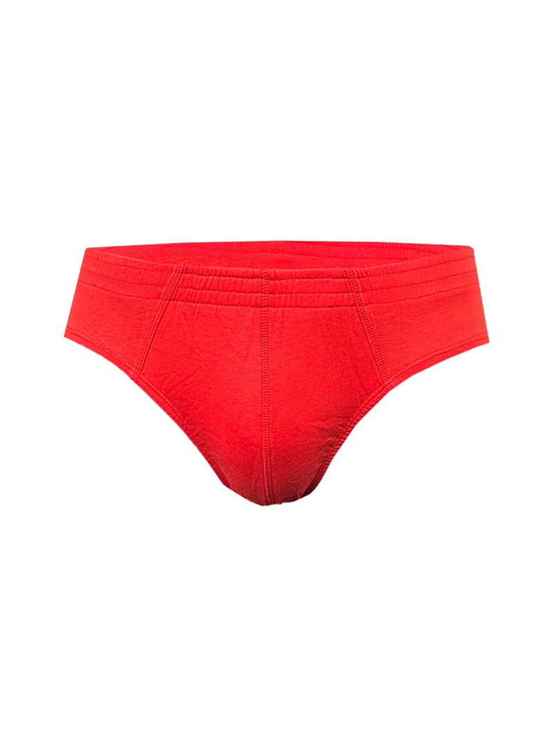 Basics Cotton Brief